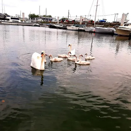 Bateau Zimon-vue Seine-nuit Insolite A 船上ホテル *
