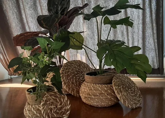 Botel Houseboat Insolite 